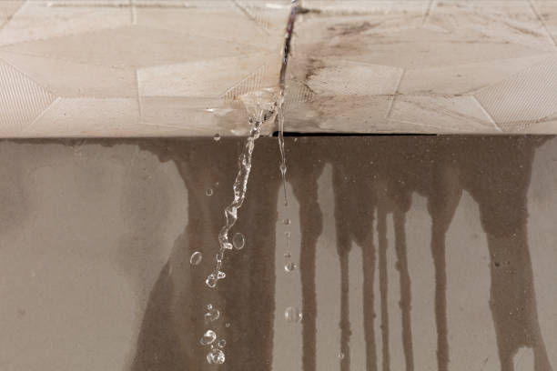 Professional Flood Damage Cleanup technician working in Richwood, NJ
